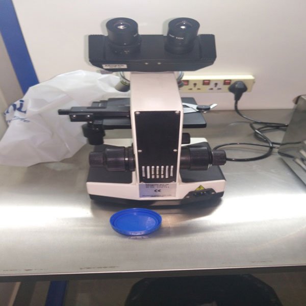 IN VITRO FERTILIZATION