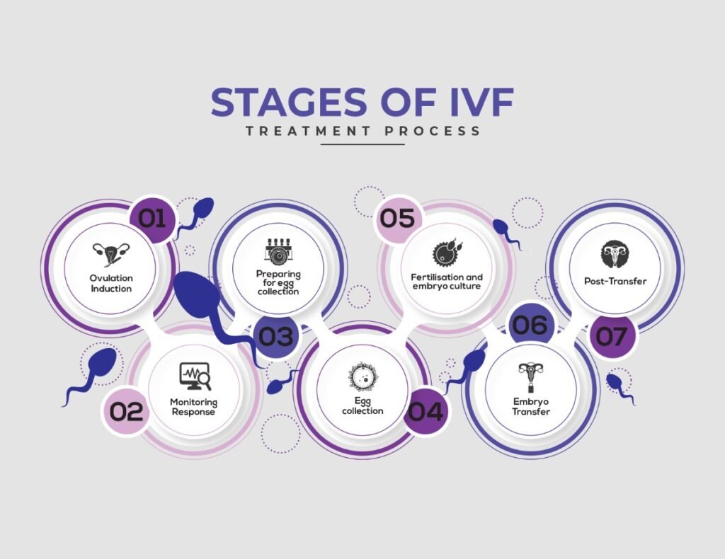 IVF Demystified: What to Expect During Your In Vitro Fertilization Journey